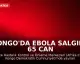 Kongo'da Ebola Salgını: 65 Can Kaybı Bildirildi