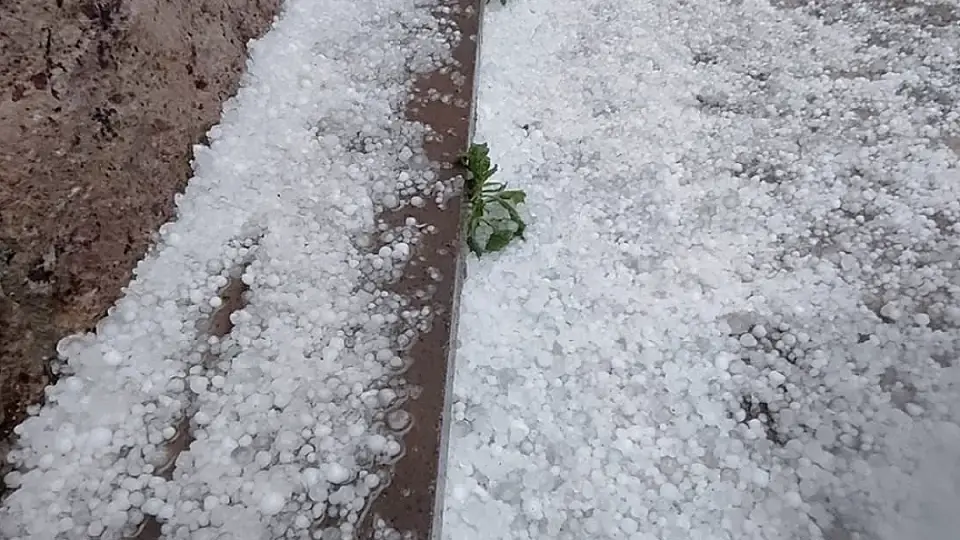Ayvacık'ta Şiddetli Yağış ve Dolu Hayatı Olumsuz Etkiledi