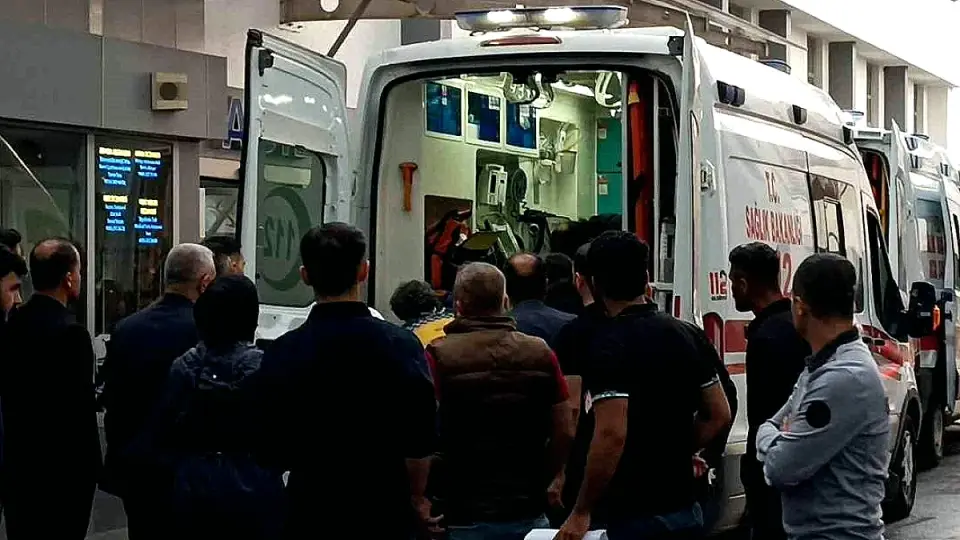 Batman'da Yıldırım Çarpması Sonucu Çoban Hayatını Kaybetti