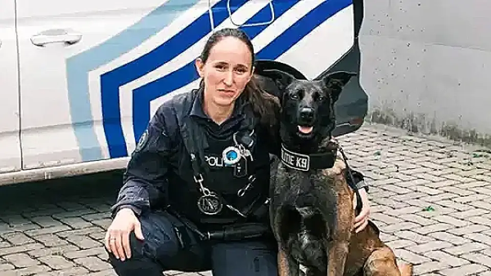 Belçika'da Köpeklere Özel Menü Uygulaması ve Türkiye Karşılaştırması