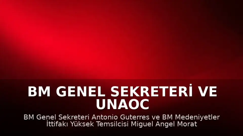 BM Genel Sekreteri ve UNAOC Yüksek Temsilcisi, San Diego'daki Camii Saldırısını Kınadı