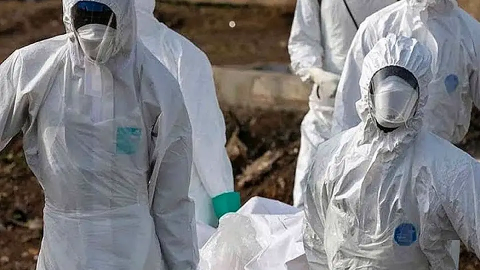 DSÖ'den Ebola Uyarısı: Salgın Yayılabilir