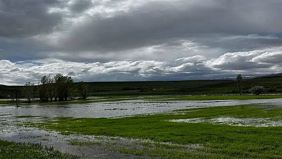 Erzincan'da Aşırı Yağış Tarım Arazilerini Vurdu