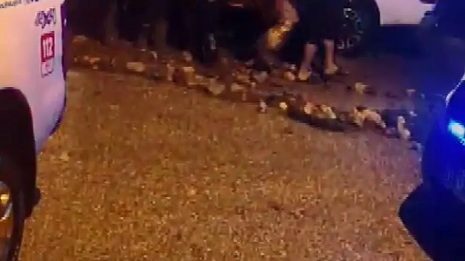 Hatay'da Sağanak Sonucu Ev Çöktü: 1 Ölü, 3 Yaralı