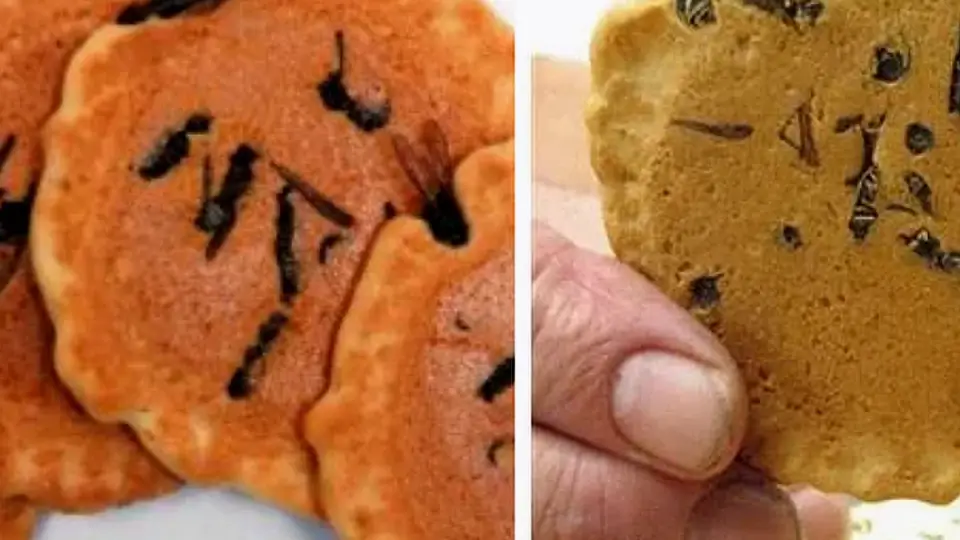 Japonya'da Arılı Kraker İlgi Görüyor: Yaban Arılı Senbei Tüketimi Güvenli