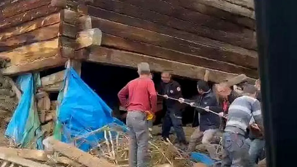 Kastamonu'da Ahır Çökmesi: 1 Kişi Hayatını Kaybetti, Çok Sayıda Hayvan Telef Oldu