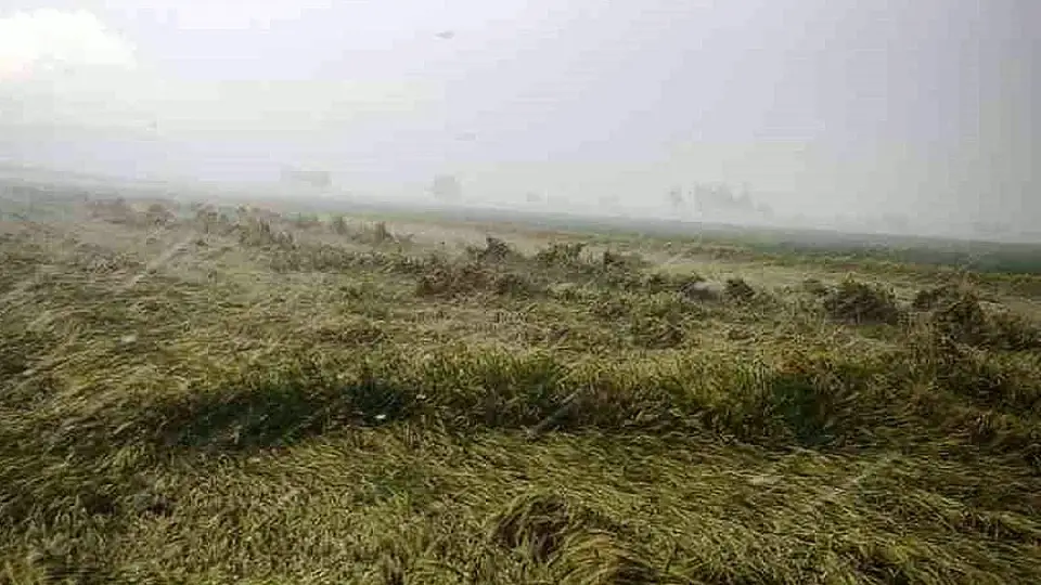 Osmaniye'de Sağanak Nedeniyle Evinde Mahsur Kalan Yaşlı Kadın Kurtarıldı