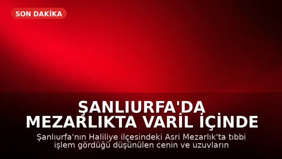 Şanlıurfa'da Mezarlıkta Varil İçinde Cenin ve Uzuvlar Bulundu