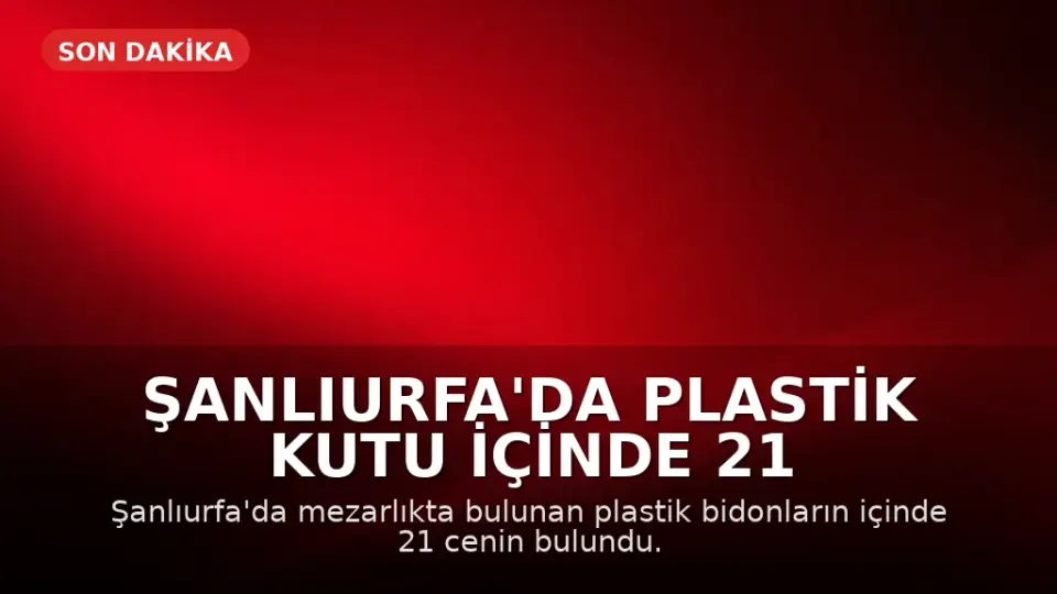 Şanlıurfa'da Plastik Kutu İçinde 21 Cenin Bulundu
