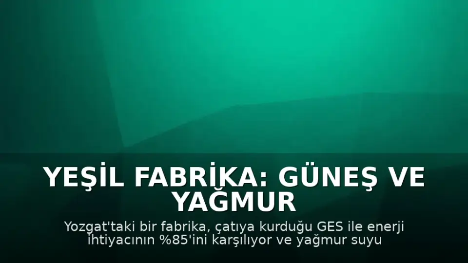 Yeşil Fabrika: Güneş ve Yağmur Suyuyla Enerji ve Su İhtiyacını Karşılıyor