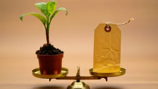 Bakan Yumaklı: Yemde fahiş fiyat artışlarına toleransımız olmayacak