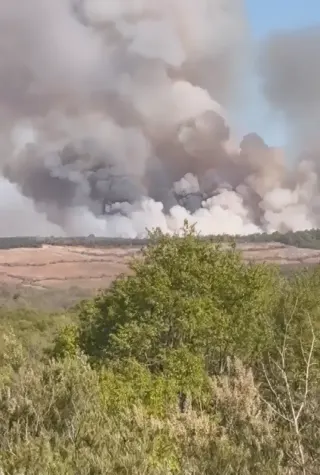 Beykoz'da Orman Yangını Kontrol Altına Alındı