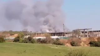 Beykoz'da Orman Yangını: Müdahale Sürüyor