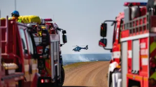 Beykoz'da Ormanlık Alanda Yangın: Ekipler Müdahale Ediyor
