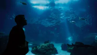 Bilim insanları Barents Denizi'nde Dünya'nın içine açılan bir pencere keşfetti