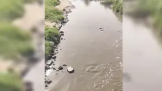 Mahmut Tanal'dan Eyyübiye İddiası: Atık Sular Tarım Alanlarına Karışıyor
