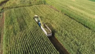 Türkiye Tarım Gıda Çevre Birliği Kuruldu: Üretim Planlamasına Katkı Hedefleniyor