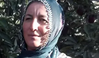 İş Yerinde Ağaç Faciası: Kadın Hayatını Kaybetti