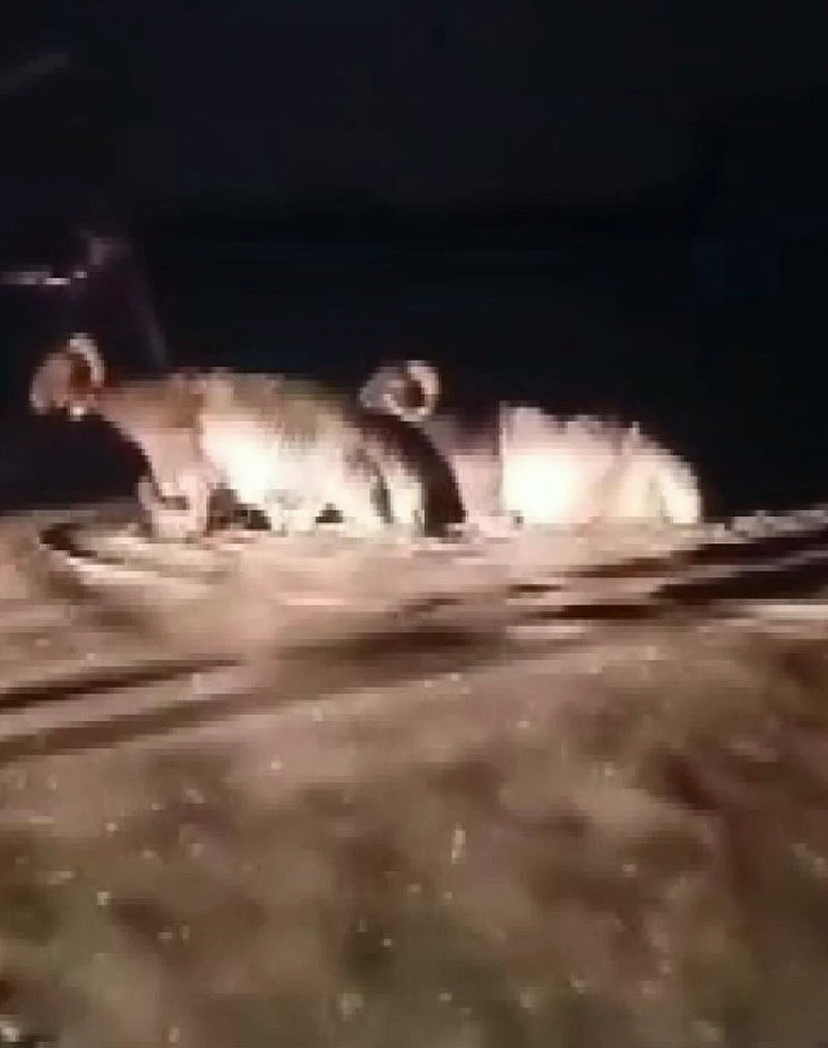Hatay'da Sağanak Hayvan Pazarını Vurdu