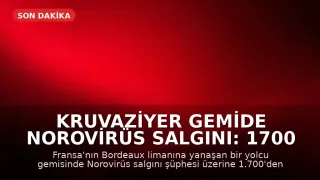 Kruvaziyer Gemide Norovirüs Salgını: 1700 Kişi Karantinada