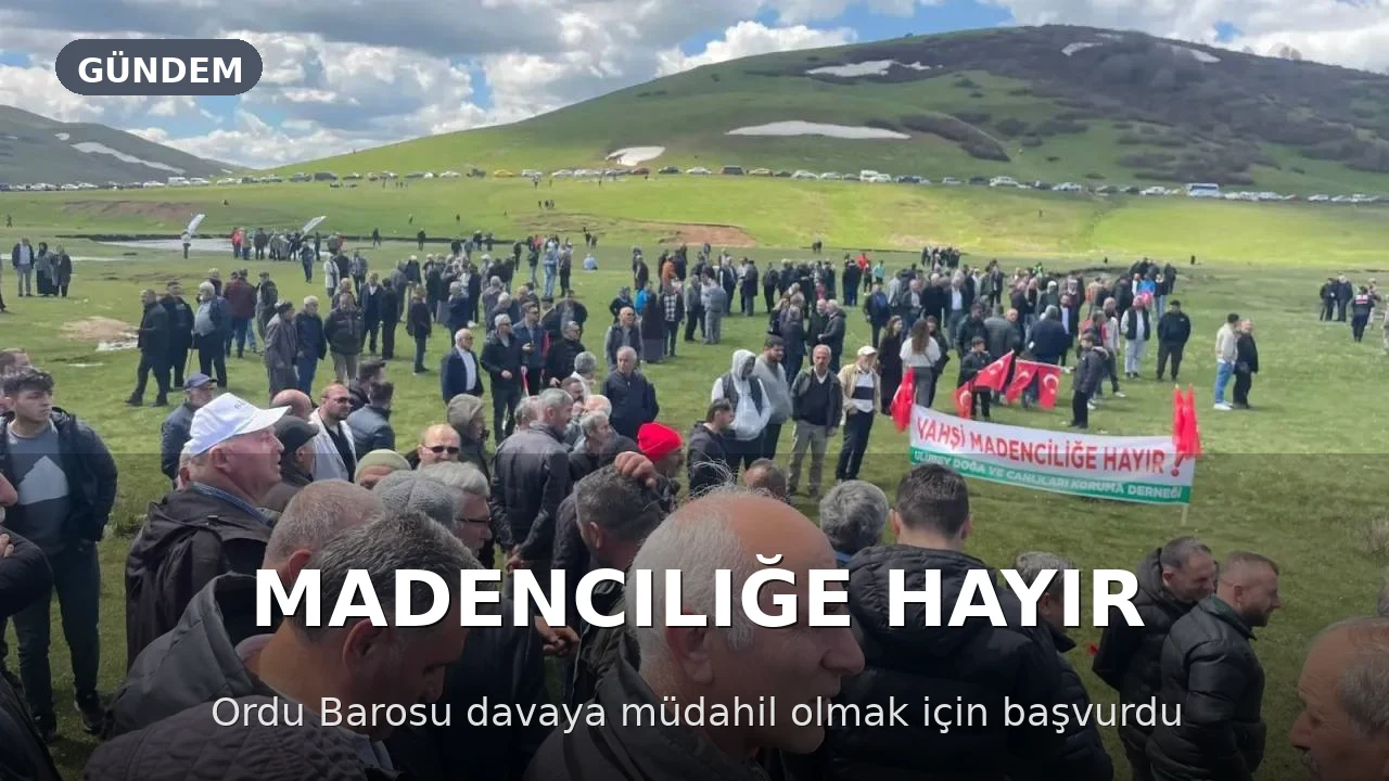 Ordu Barosu, Perşembe Yaylası'ndaki Maden Davasına Müdahil Olma Talebinde Bulundu