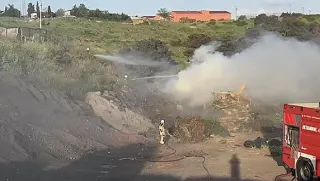 Ümraniye'de Hayvan Barınağı Yakınında Yangın Çıktı